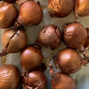 Cipolle cotte al forno