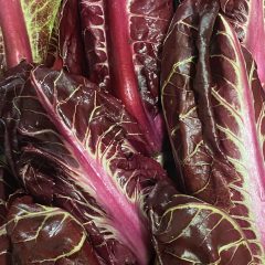 Radicchio dalle coste rosse