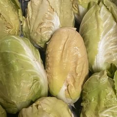 Radicchio giallo