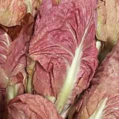 Radicchio rosa